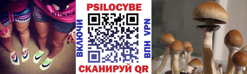 Галлюциногенные грибы Cubensis Купить Мариинский Посад
