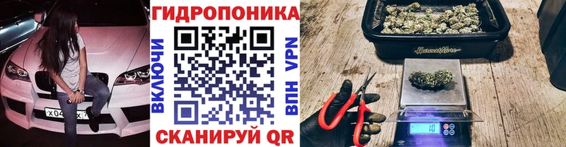Канабис тримм  Купить закладки  Мариинский Посад 